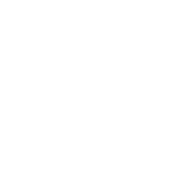 強勁服務支持團隊